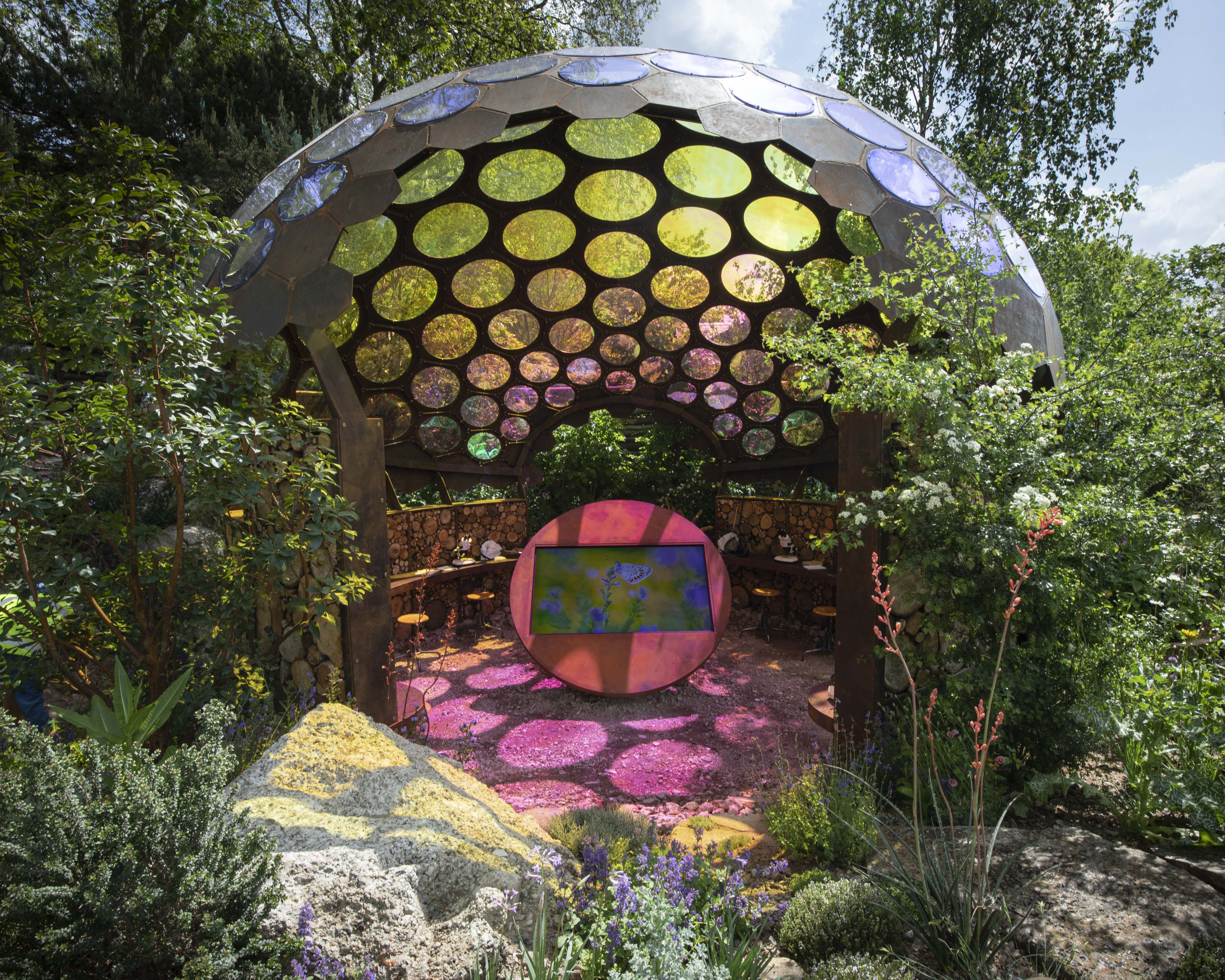 Royal_Entomological_Society_Garden-©TammyMarlar-7767.jpg