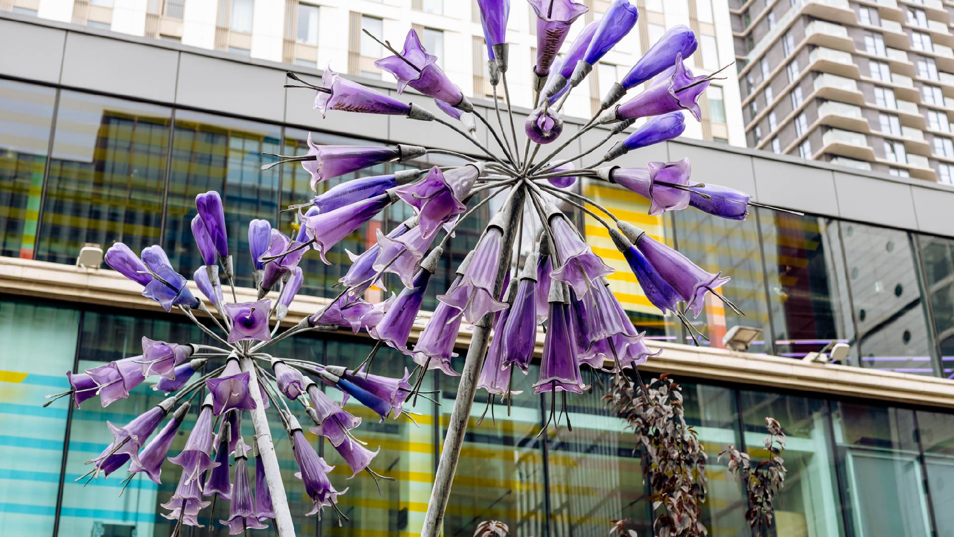 transform carousel 2 1920x1080.jpg