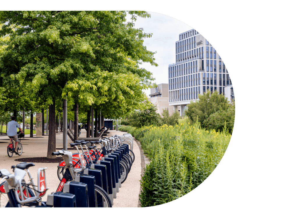 A row of Santander bikes lined up by the river bank.